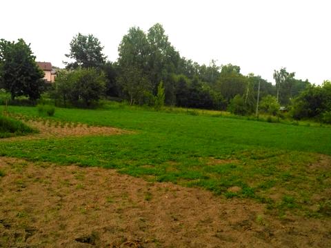 участок по адресу Деревянка, 8