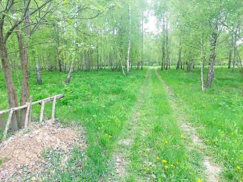участок по адресу Левківська