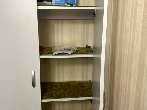 квартира по адресу Раисы Окипной ул., 5