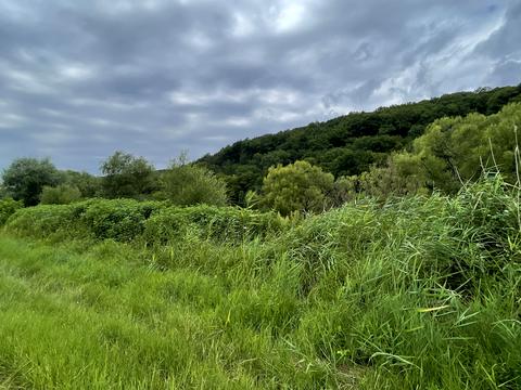 ділянка за адресою 