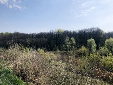 участок по адресу Джерельна