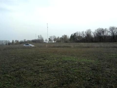 участок по адресу Софіївсько-Борщагівська сільська рада
