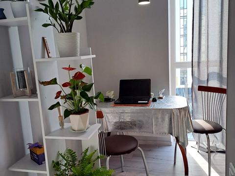 квартира за адресою Нова Виноградна вул., 6