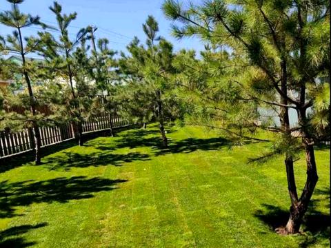 дом по адресу Жовтнева