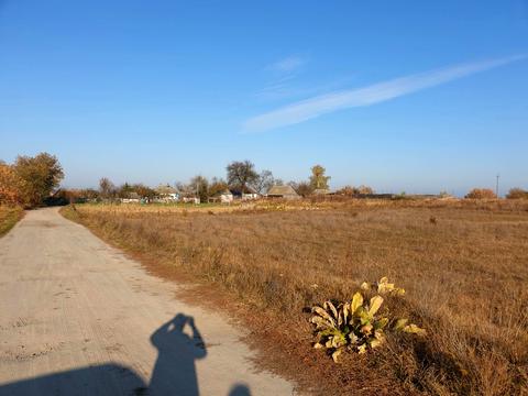 участок по адресу Київська