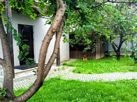 дом по адресу с. Ревное, Польова