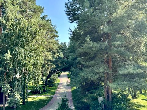 дом по адресу с. Лебедевка, Київська Рів'єра