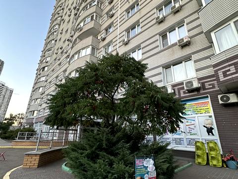 квартира за адресою Андрія Аболмасова вул. (Панельна), 7