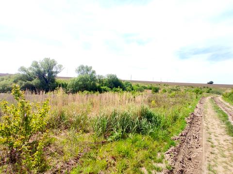 ділянка за адресою Полігонна вул.