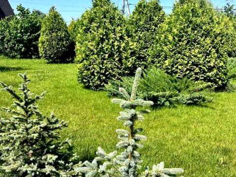 будинок за адресою Щаслива вул.