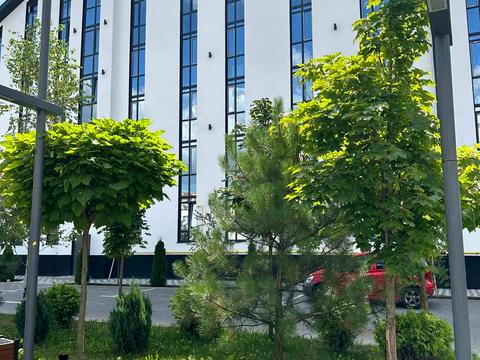 квартира по адресу Одесская ул., 70