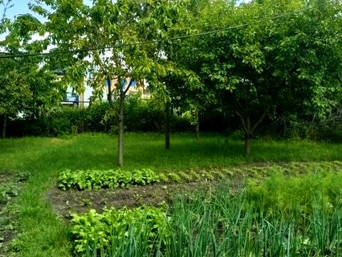 будинок за адресою Центральна вул., 15