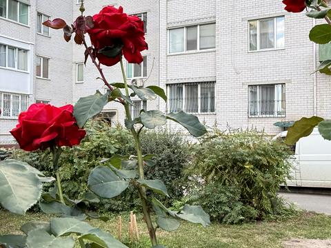 квартира по адресу Погребняка ул., 13