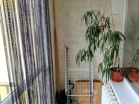 квартира по адресу Рабочая ул., 71
