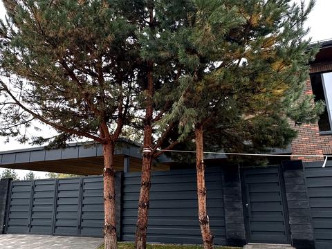 будинок за адресою Центральна вул.