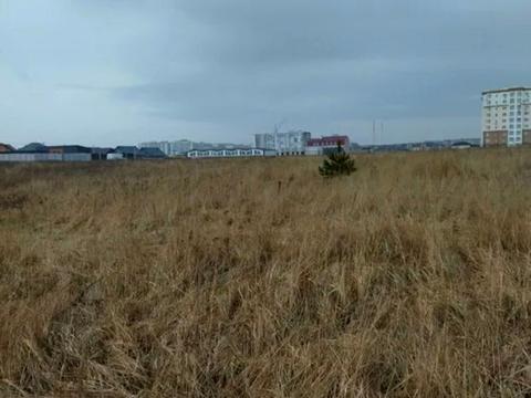 участок по адресу Софіївсько-Борщагівська сільська рада