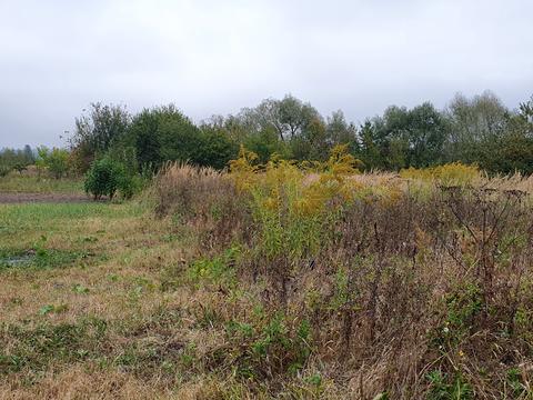 ділянка за адресою Під греблею
