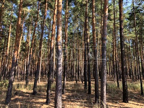дом по адресу Вишгородський
