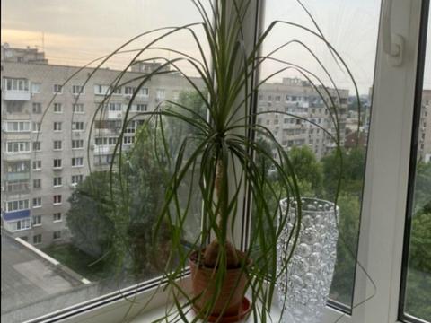 квартира по адресу Котляревского ул., 7