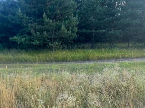 ділянка за адресою с. Китайгород, 