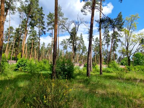 ділянка за адресою Вітряного