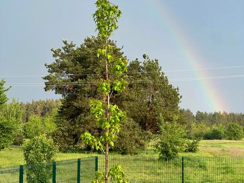 будинок за адресою Набережна вул.