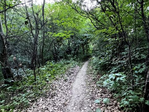 ділянка за адресою Львів, Ланова вул.
