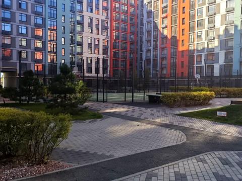 квартира по адресу Оптимістична ул., 3