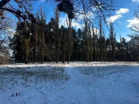 комерційна за адресою Саноторна, 5