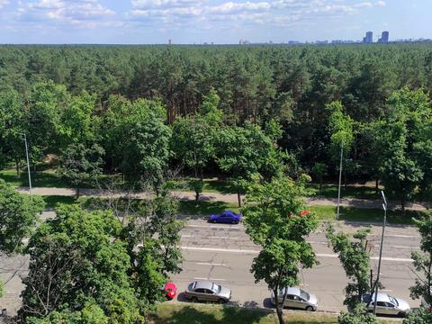 квартира по адресу Лесной просп., 43