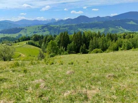 участок по адресу пгт. Верховина, 