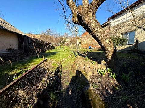 квартира за адресою Августина Волошина вул., 5