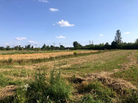 участок по адресу Городоцька, 12
