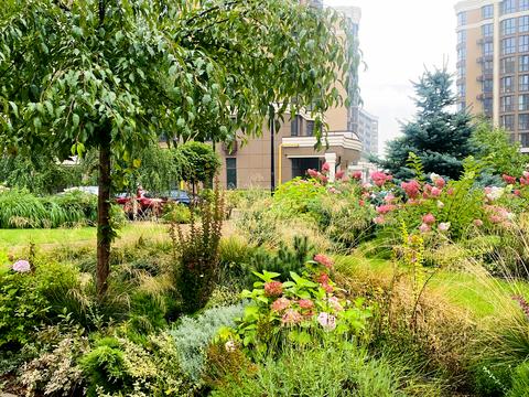 квартира за адресою Мартинова просп., 24