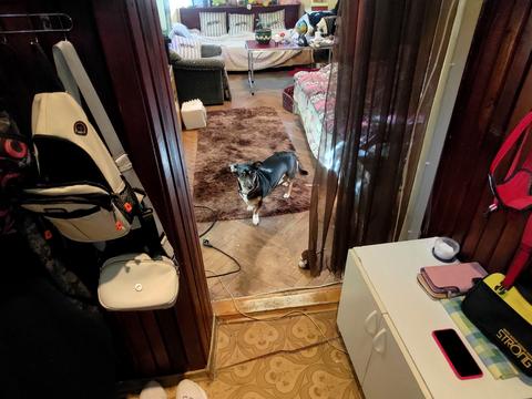 квартира за адресою Одеська вул., 5