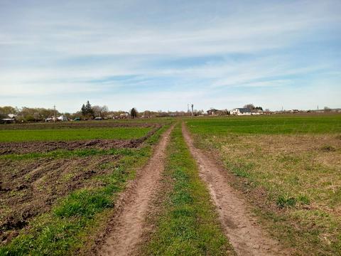 ділянка за адресою нове село, 1