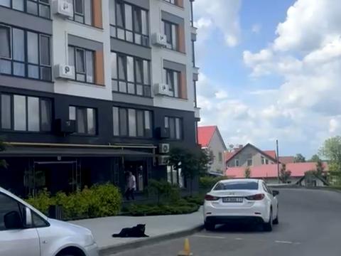 квартира за адресою І. Богуна вул., 2а