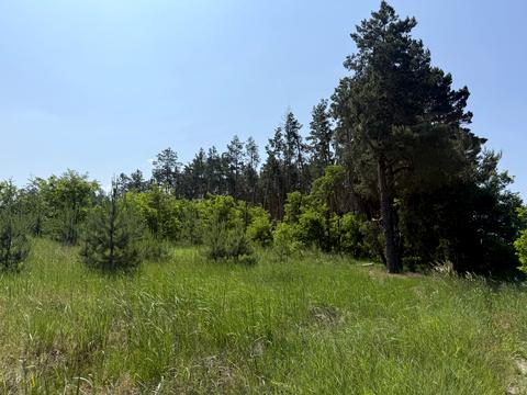 ділянка за адресою Зелена