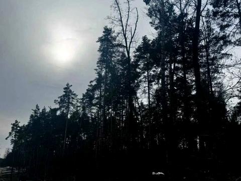 участок по адресу Житомирська