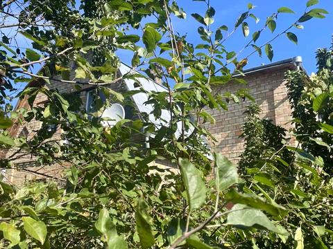 дом по адресу Л.Українки, 14