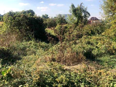 ділянка за адресою Лесі Українки вул., 24