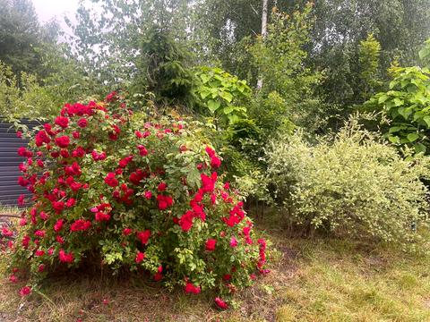 будинок за адресою Миру