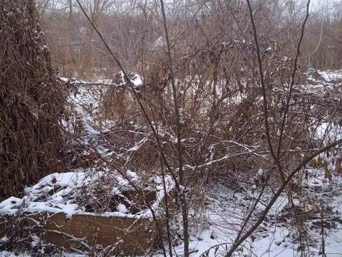 ділянка за адресою Дніпро, Золотоосіння вул. (Жовтнева), 88