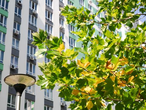 квартира по адресу Университетская ул., 3/16