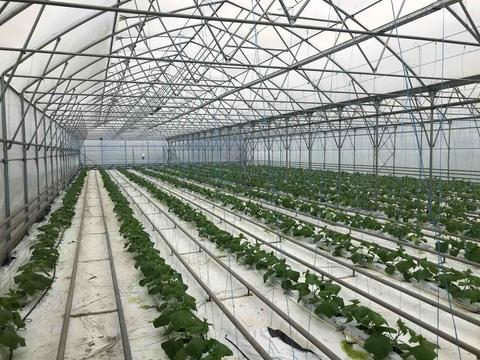 коммерческая по адресу Польова, 8