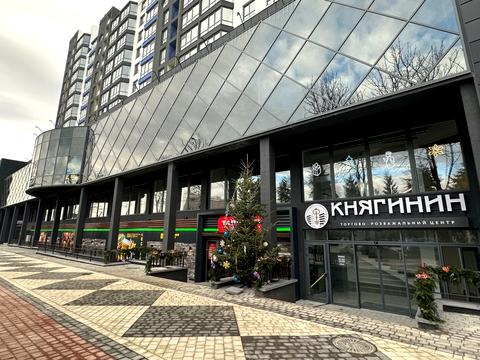 квартира за адресою Княгинин вул., 39