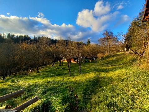 участок по адресу пгт. Верховина, вул. Невестюка