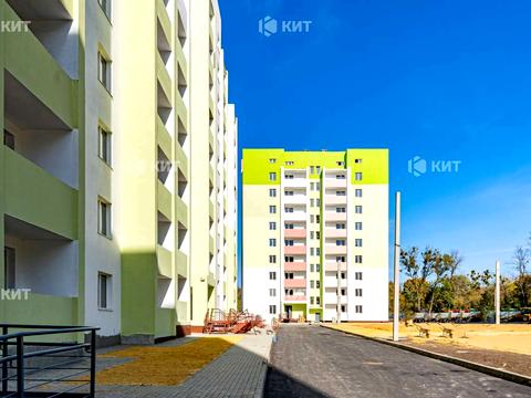 квартира за адресою Миру вул., 43