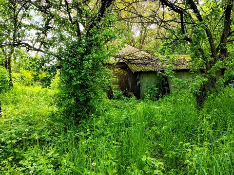 будинок за адресою с. Мала Стариця, Мічуріна