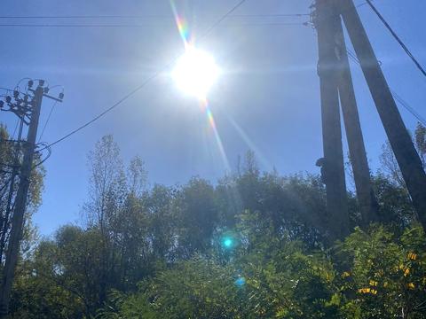 ділянка за адресою Лісова вул.